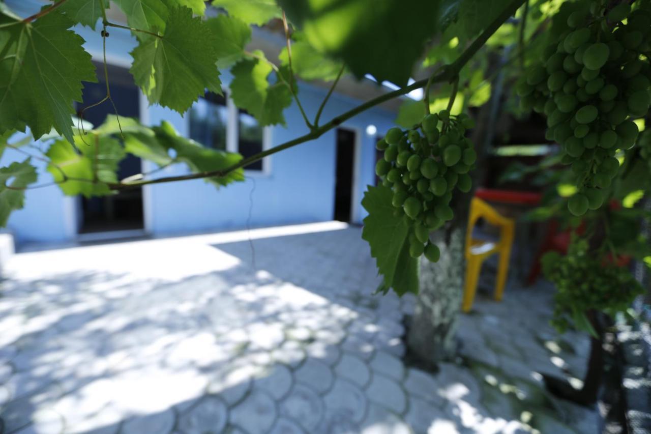 Lilia Guesthouse Sighnaghi Bagian luar foto