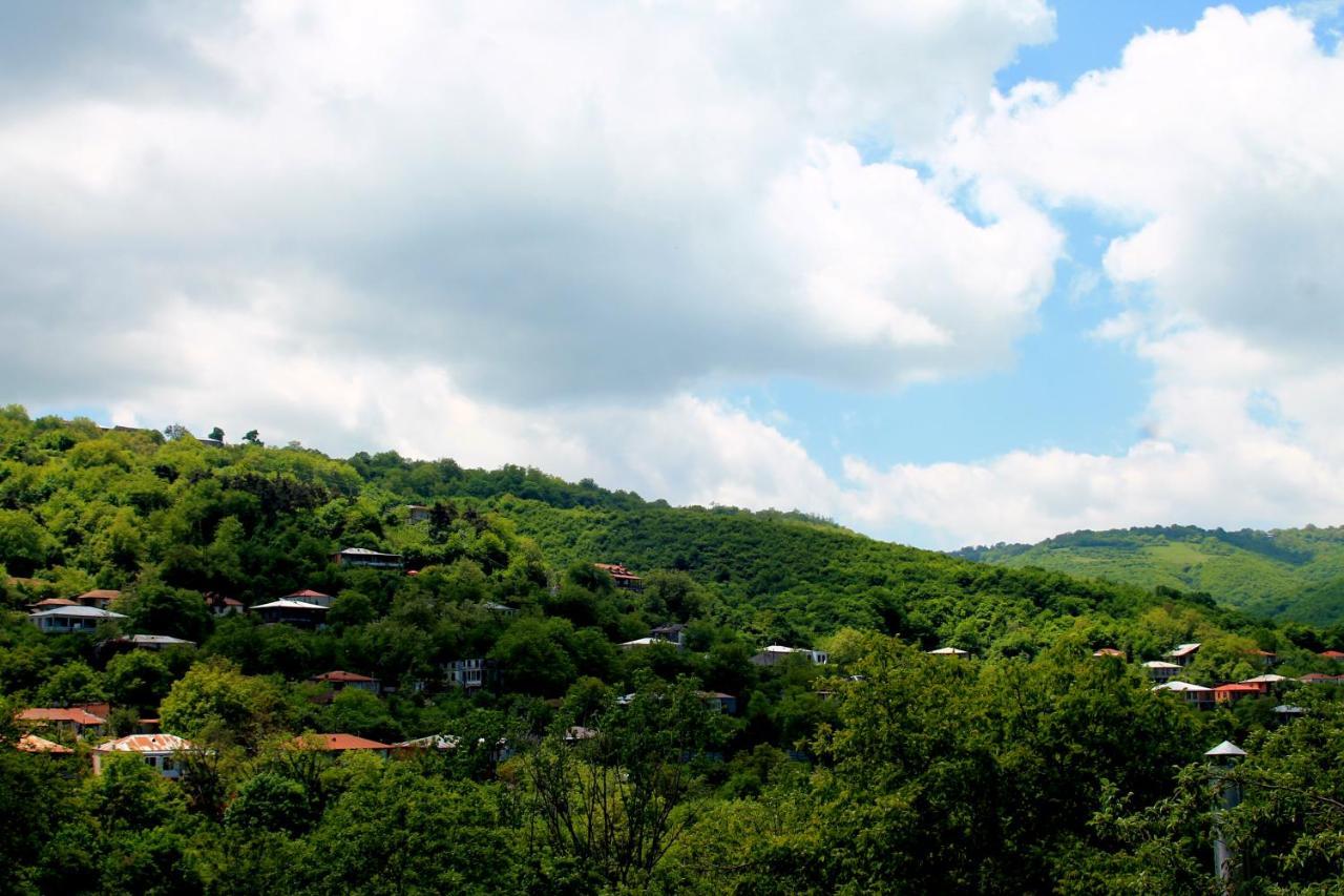 Lilia Guesthouse Sighnaghi Bagian luar foto